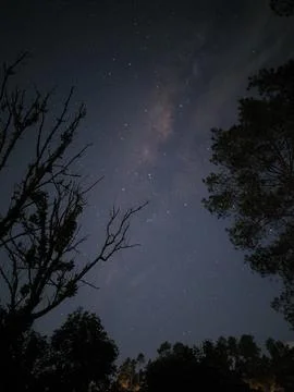 Lonely Night Stock Photos