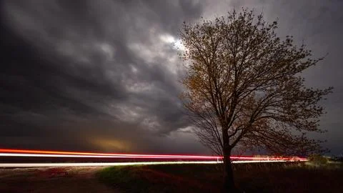 A lonely night roadside tree without leaves Foto stock
