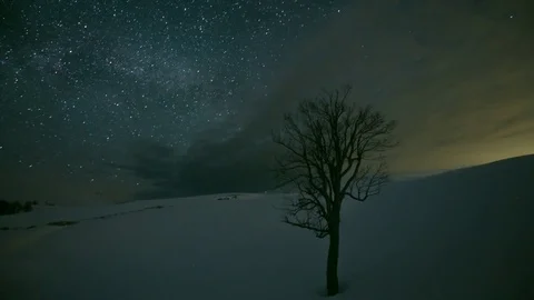 Lonely Night Tree time lapse against the Starry sky Stock-Footage 83694490