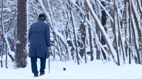 Lonely old man walking in a winter park Video stock 46639026