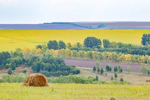 A lonely, one round haystack lies in a meadow Stock Photos