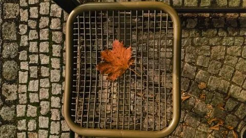 Lonely orange maple leaf fallen on empty public bench in autumn. mobile photo Stock Photos