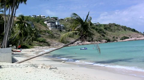 A lonely Palm Tree at Thong Son Bay Koh Samui Stock Footage 38610042