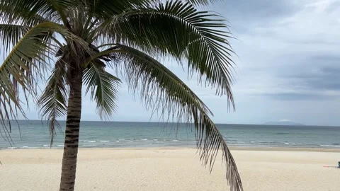 Lonely palm tree on tropical beach of Phu Quoc Island Vietnam with cloudy sky Stock Footage 320169397