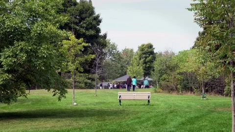A lonely park bench. Stock Footage 95861137
