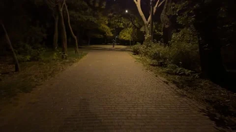 Lonely passerby in the night park Stock Footage 291166050