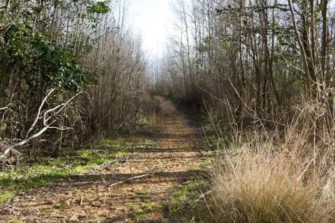 Lonely path in the mountain of the mountain Stock Photos