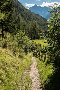 Lonely path through the fields and meadows Фото