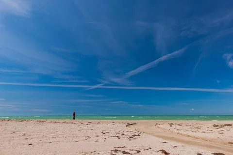 Lonely Person Walking on an Empty Beach Under a Dramatic Sky Stock Photos