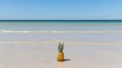 Lonely pineapple on the sand of the beach 스톡 사진