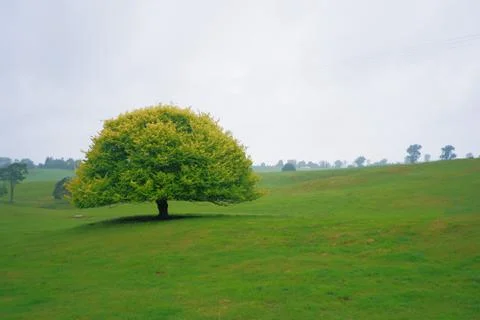 Lonely Planet Stock Photos