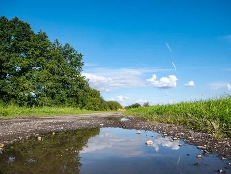 Lonely puddle on dirt path in green suburban area Foto stock