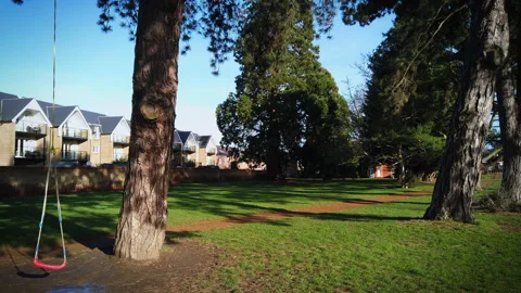 Lonely red swing hangs on big tree in UK during the covid 19 pandemic 4k Stock Footage 147902759