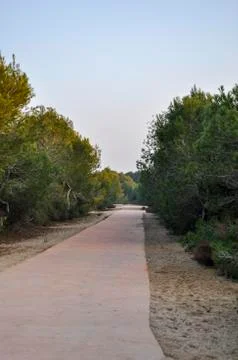 Lonely road between trees at sunset Stock Photos
