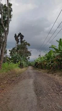 A lonely road with a cloudy sky Stock Photos