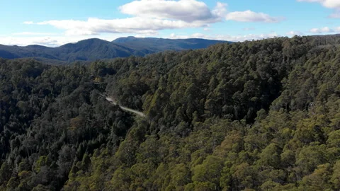 A lonely road cuts through pristine forest in mountains Stock Footage 154522960