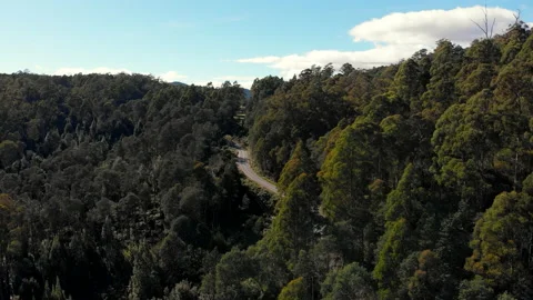 A lonely road cuts through pristine forest in mountains Stock Footage 154523285