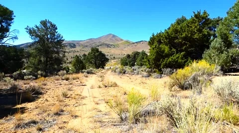 Lonely Road on the High Desert Video stock 41728419