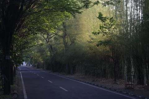 Lonely Road Stock Photos