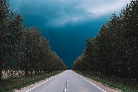 A lonely road in the summer before a threatening storm. Storm in summer. thunder Stock-Fotos