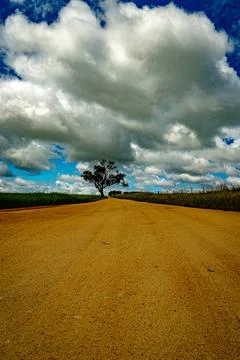 Lonely Road Through Fields Stock Photos