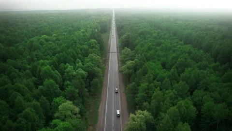 A lonely road with traffic between green forests. Smoke and smog of forest fires Stock Footage 159195559