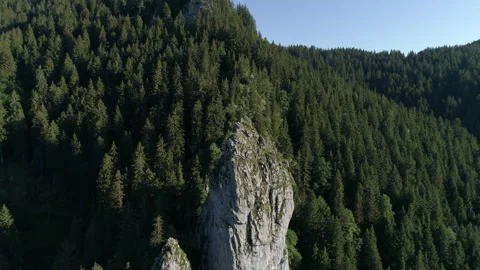 Lonely rock in the mountains with pine trees Stock Footage 266789741