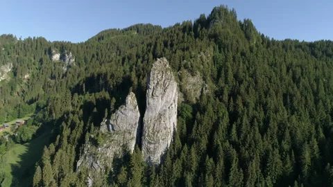 Lonely rock in the mountains with pine trees Stock Footage 266790152