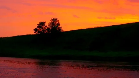Lonely round tree over a pink river against a yellow sky background 库存影片 79980904