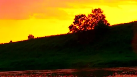 Lonely round tree over a pink river against a yellow sky background Stock Footage 79981002