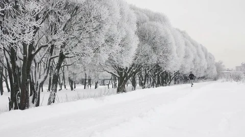 Lonely runner during a snowfall in winter Stock-Footage 85032994