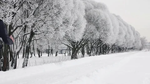 Lonely runner man during a snowfall in winter Stock Footage 85034528