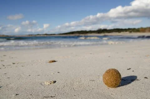 Lonely sand beach in the sunny day, Mallorca, Spain Stock Photos