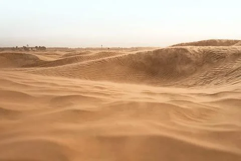 Lonely sand dunes in a strong wind under the sky against the background of arid Stock Photos