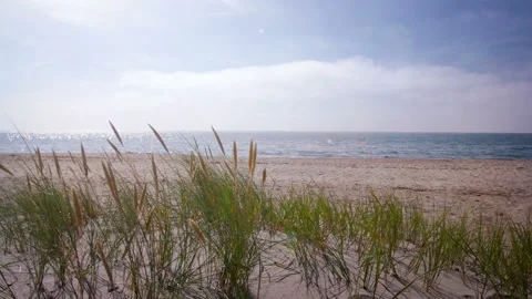 Lonely Sandy Beach Landscape Stock Footage 95861488