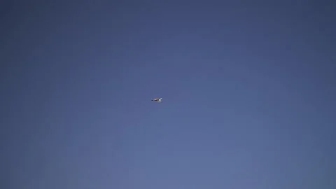 Lonely Seagul In The Sky Stock-Footage 139583435