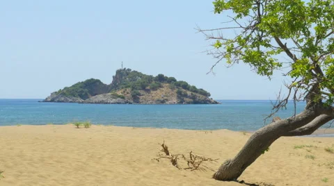 Lonely single tree, boat trip, iztuzu turtle beach, dalyan, turkey Stock Footage 51369391