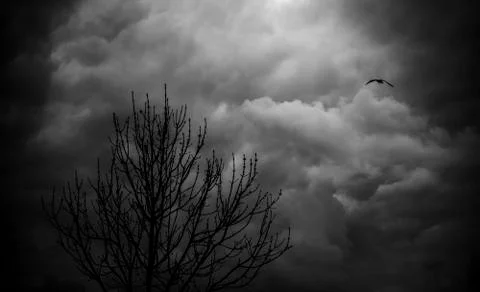 Lonely in the Sky Stock Photos