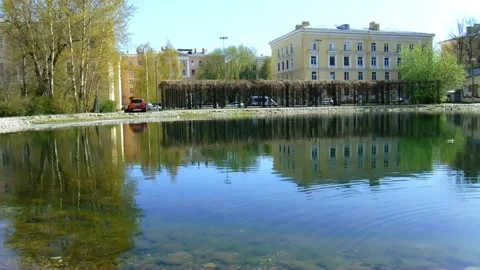 Lonely Spring Lake Stock Footage 241912674