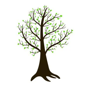 On a lonely spring tree, sticky leaves grow. Isolated vector Stock Illustration