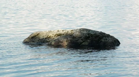 Lonely stone at a lake Stock Footage 52783546