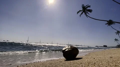 A lonely stone on the sandy shore of the ocean Stock Footage 219569013