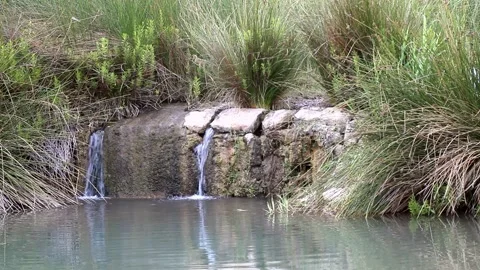 Lonely stream of water in paradise setting 動画素材 229489762