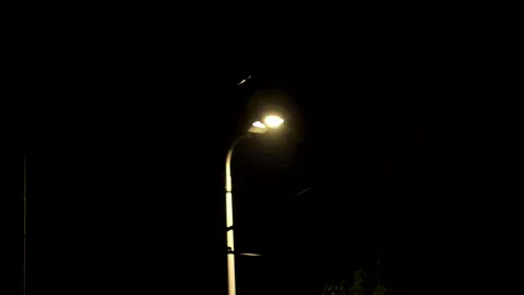 Lonely street light glowing at night Stock Footage 337800550