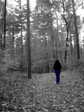 Lonely Stroll Stock Photos