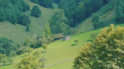 Lonely sump on a meadow. Stock Footage 59098779