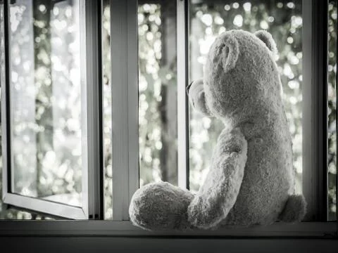 Lonely Teddy Bear Sitting on the window looking out side  (Concept about love Stock Photos