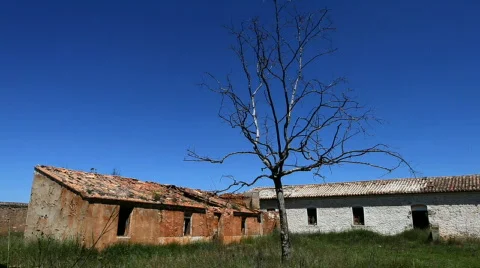 Lonely tree in abandoned place 库存影片 720726