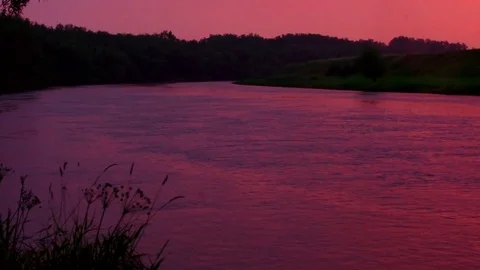 	A lonely tree above the river. Bright sunset. 库存影片 79980982
