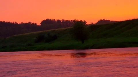 A lonely tree above the river. Bright sunset. Stock Footage 79981031